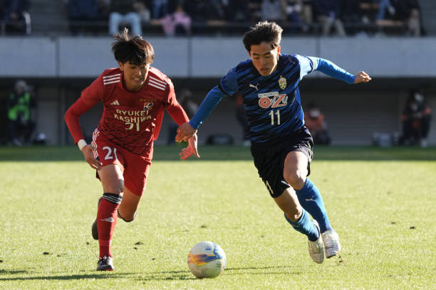 匹克球在澳 匹克球在澳